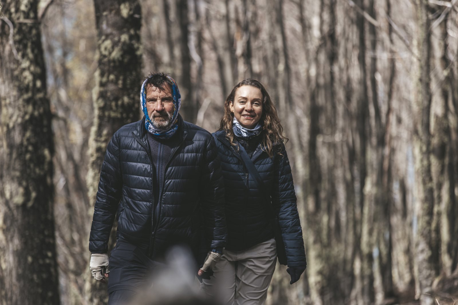 Caminhada no bosque · Bosque de lengas