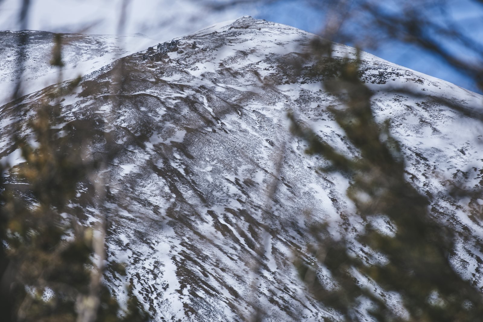 Neve fresca na encosta · Cordilheira de Aysén